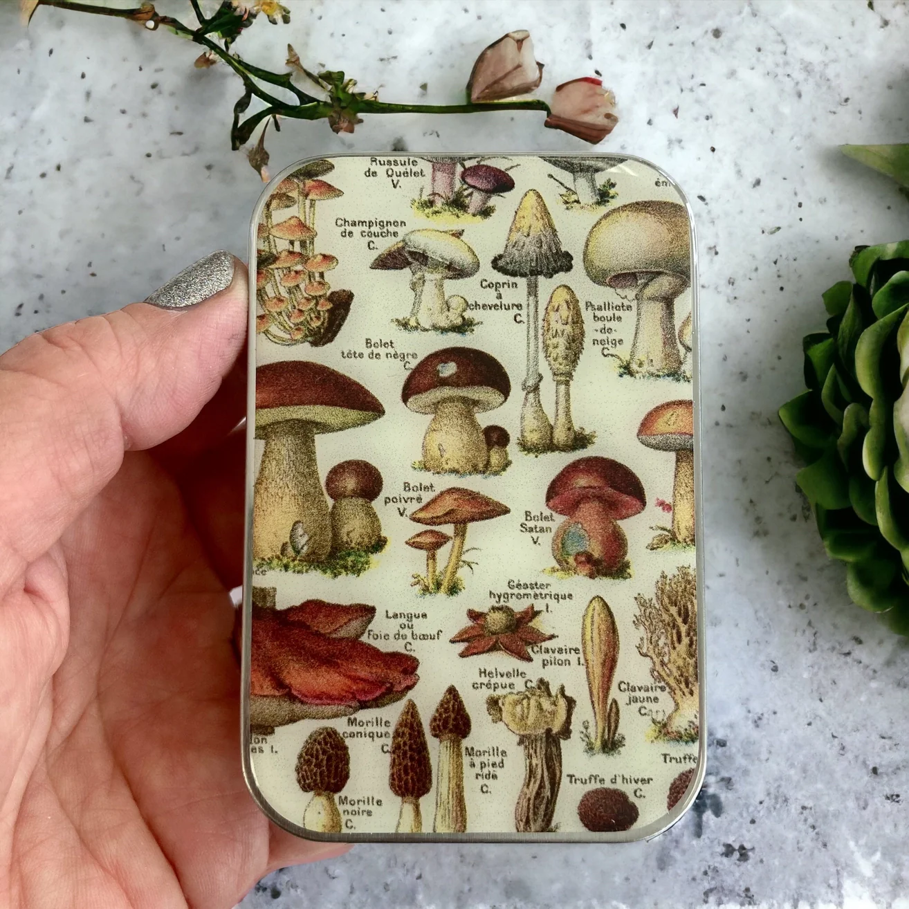 Firefly notes | Notions Tin | Large - Image 10