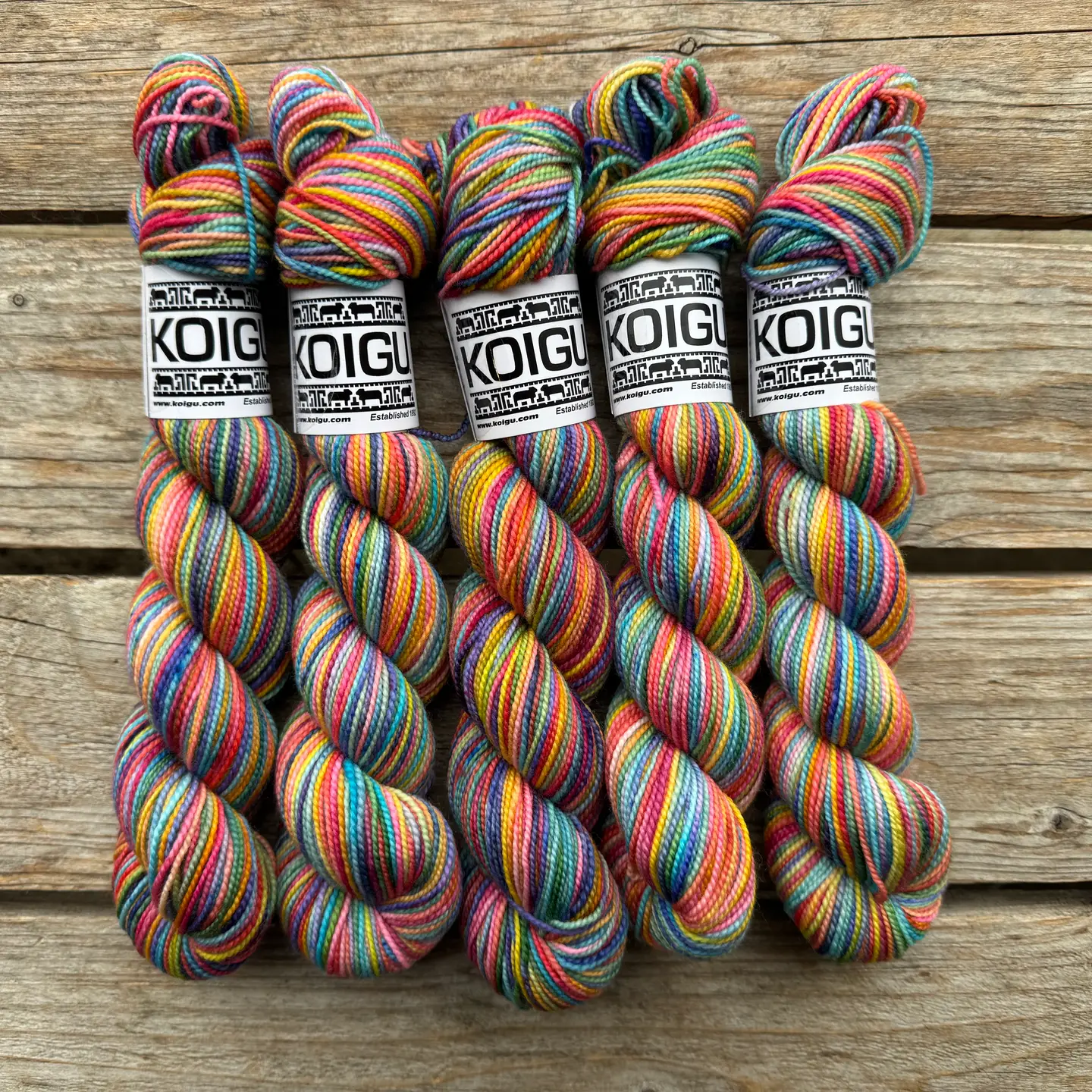 Koigu | KPPPM | Fingering - Image 11