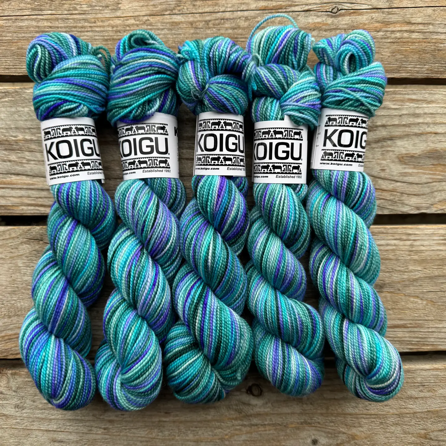 Koigu | KPPPM | Fingering - Image 13