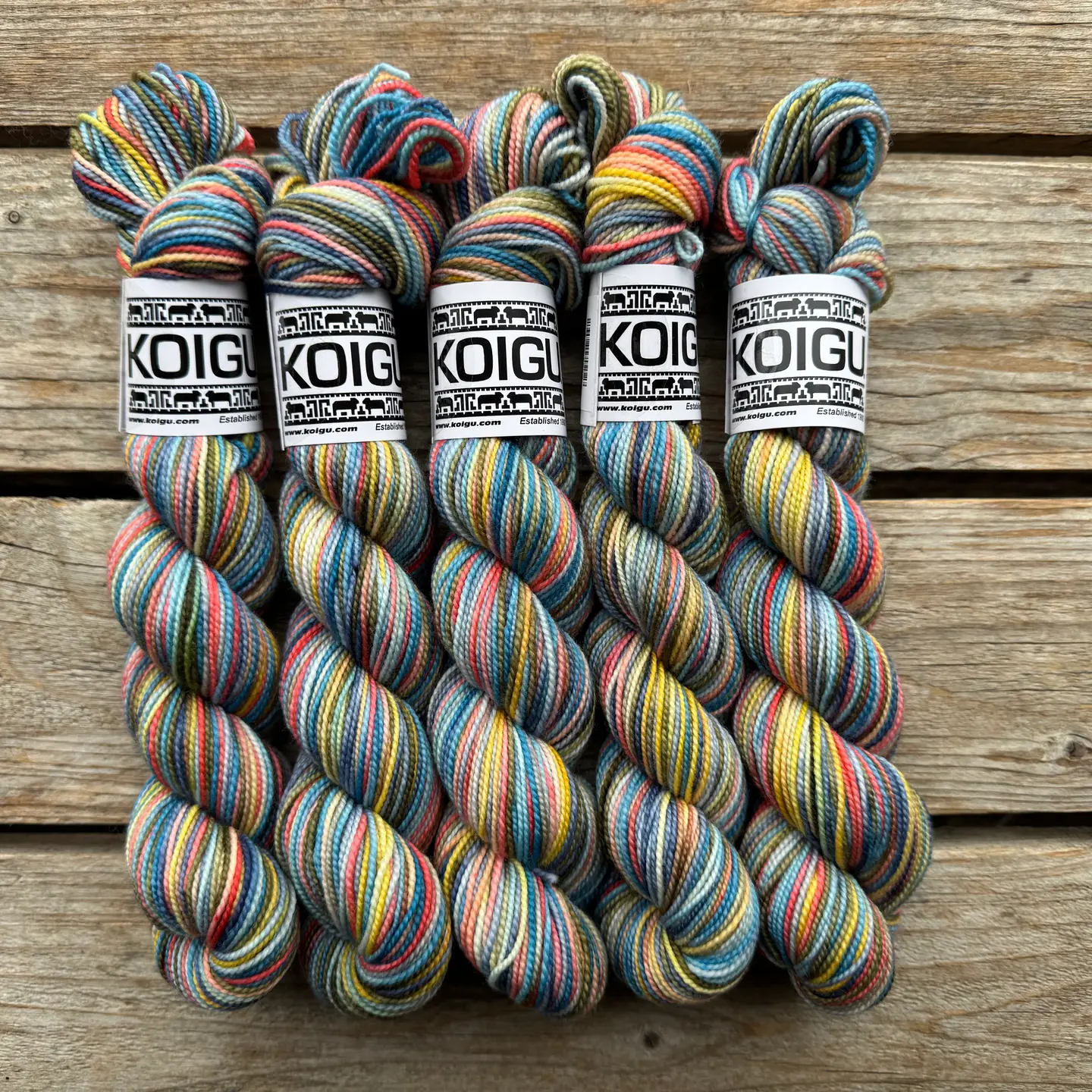 Koigu | KPPPM | Fingering - Image 14
