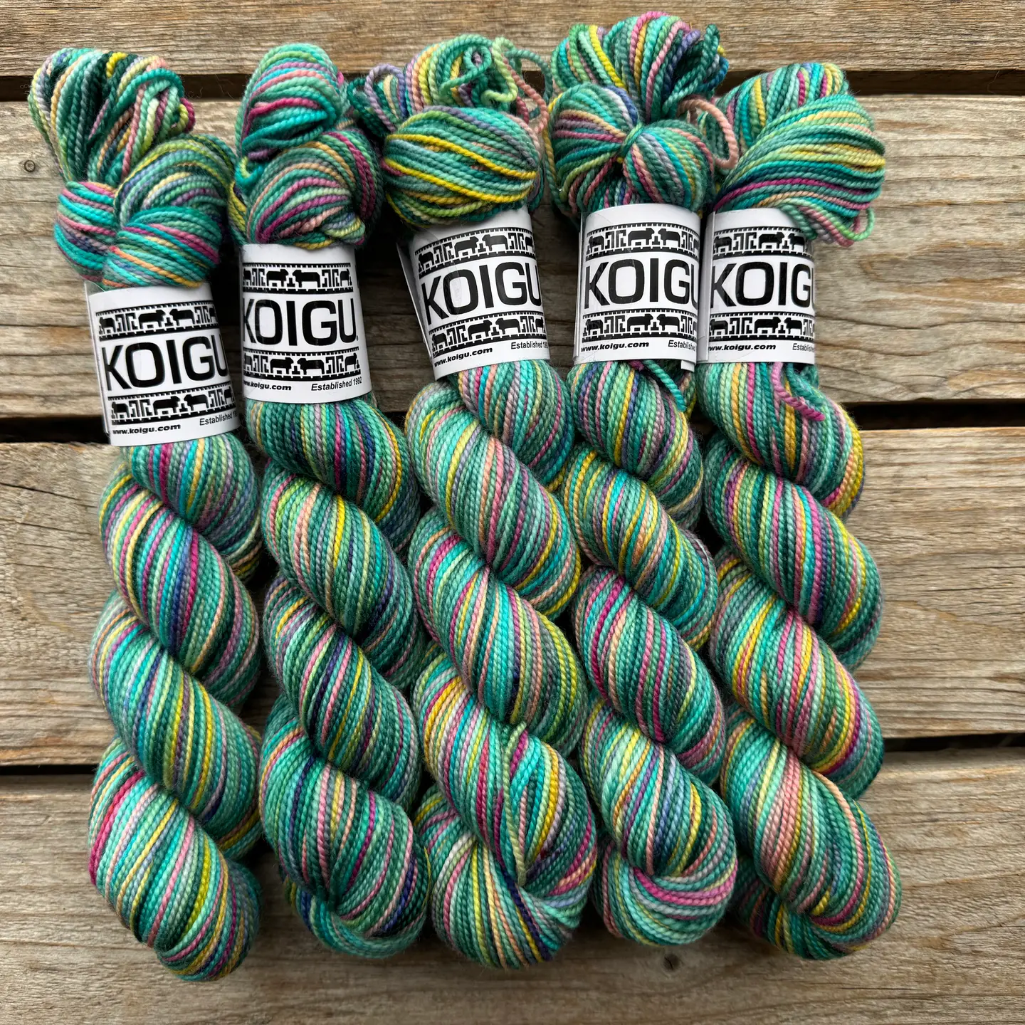 Koigu | KPPPM | Fingering - Image 15