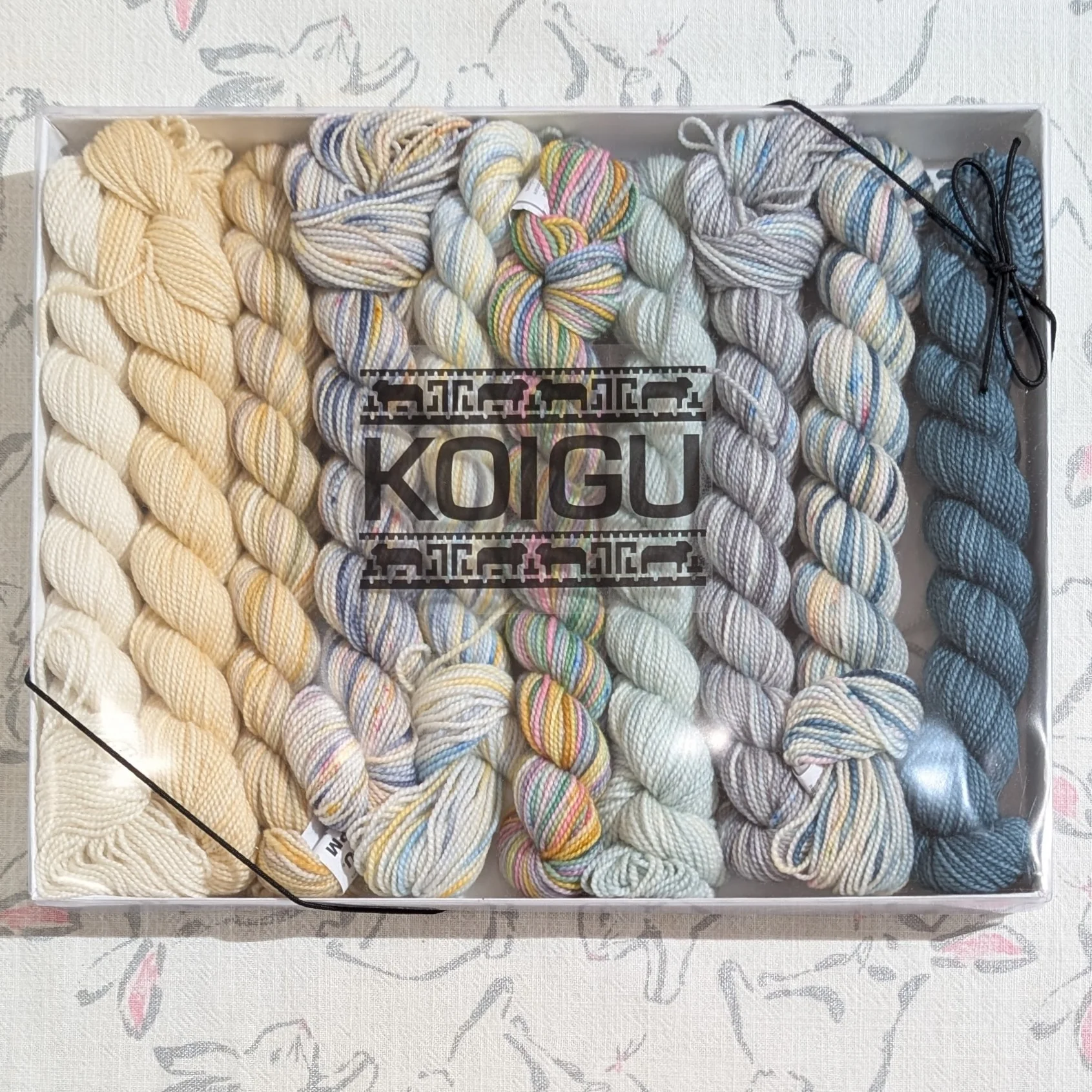 Koigu | Pencil Box | 10 x 25g | Sea Breeze