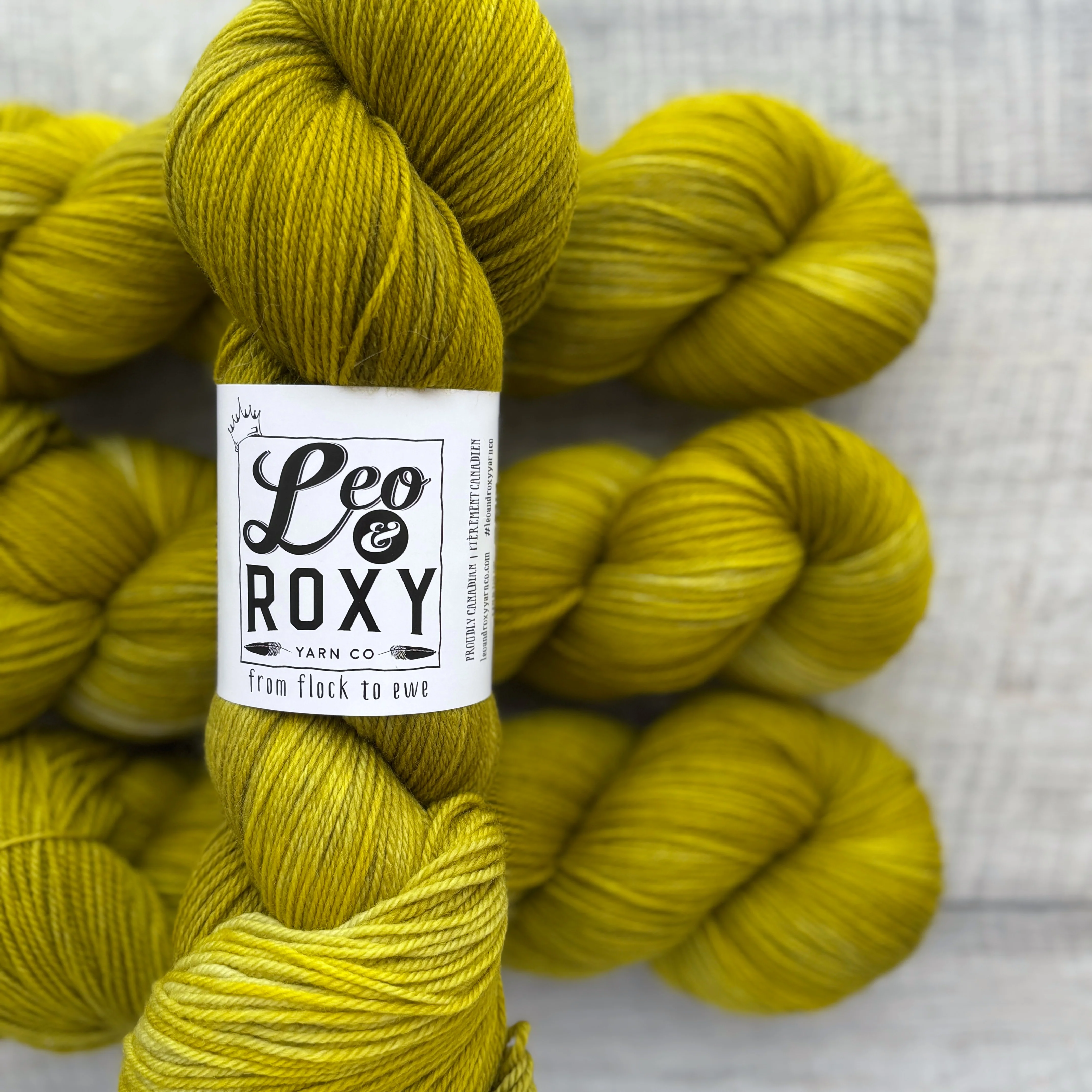 Leo and Roxy | 80/20 sock | Brights collection - Image 16