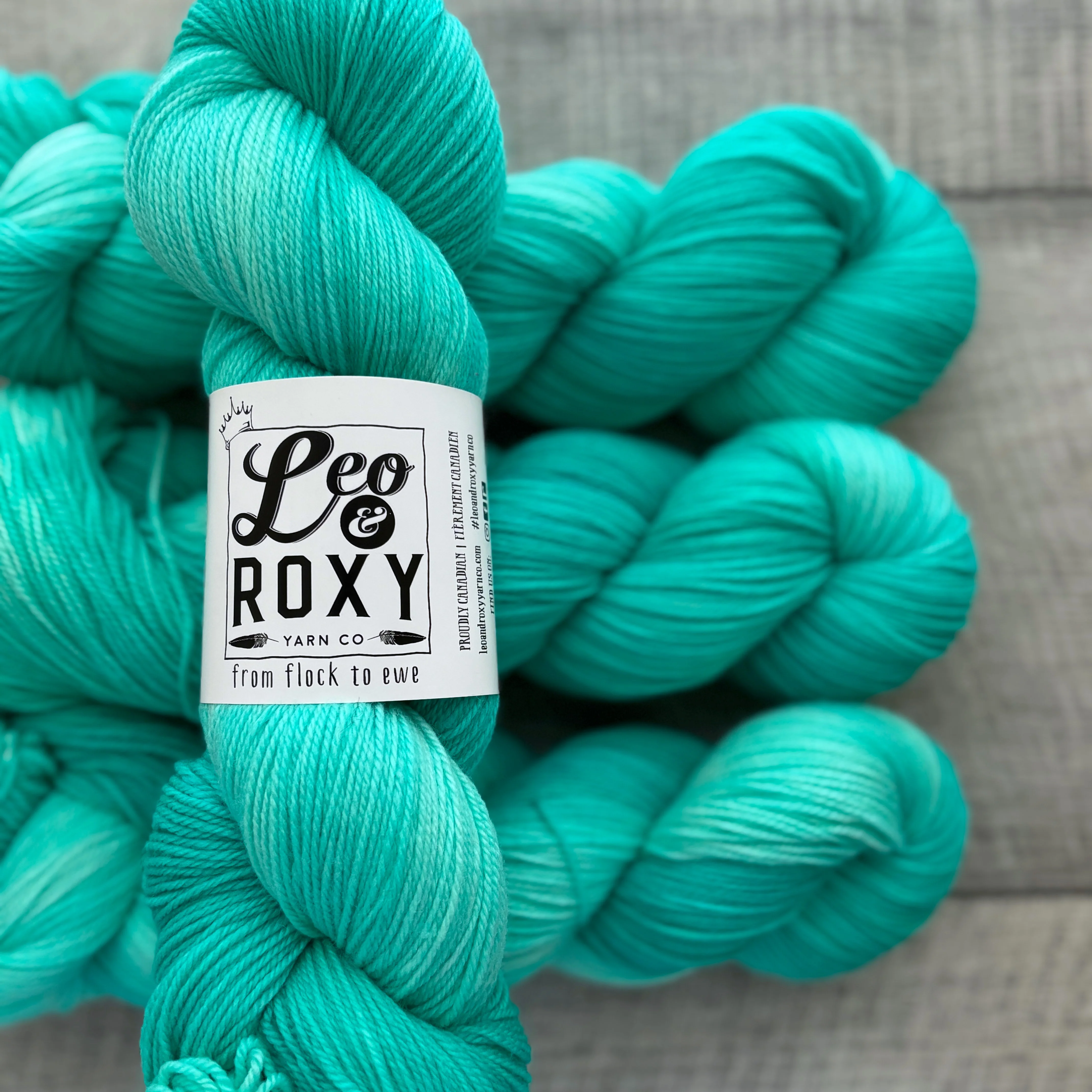 Leo and Roxy | 80/20 sock | Brights collection - Image 3