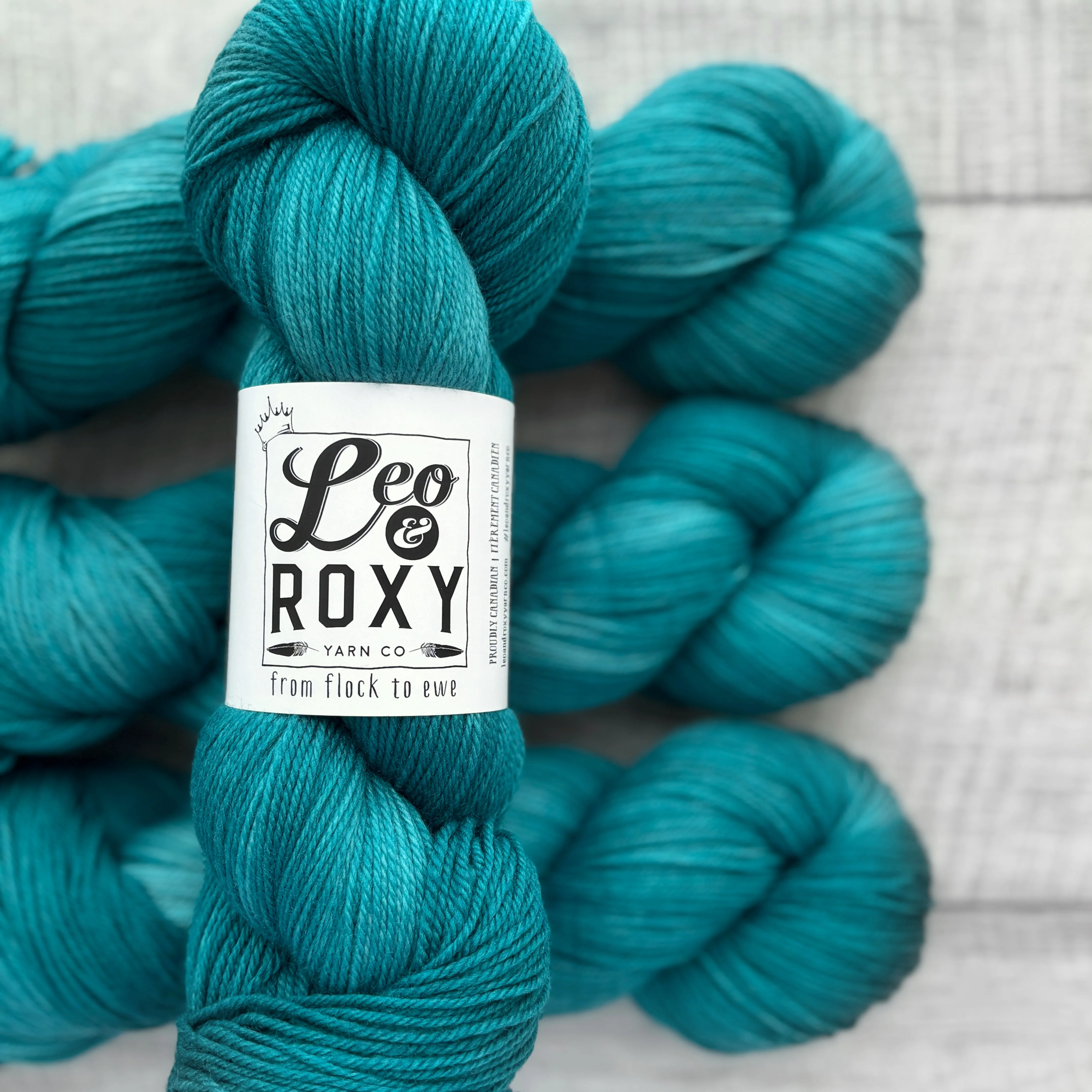 Leo and Roxy | 80/20 sock | Brights collection - Image 9
